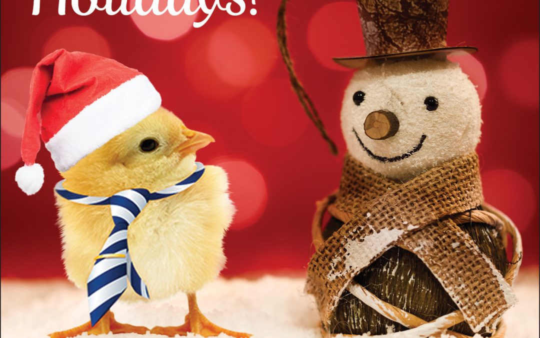 Happy Holidays!